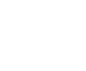 Leibniz Logo DE negativ 250px